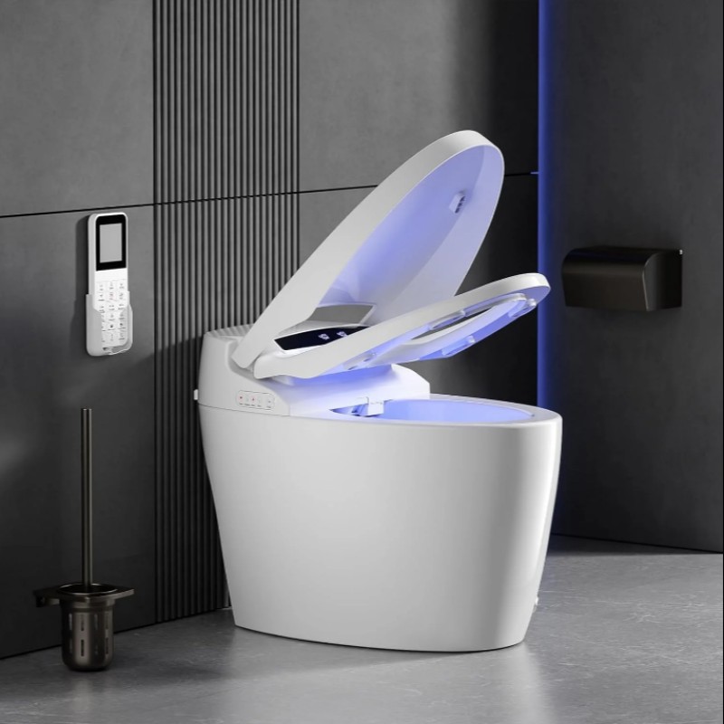 Smart Toilet